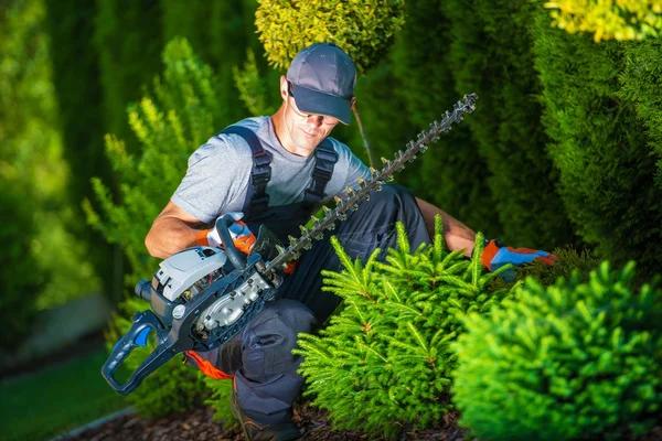 Protect Your Property with Cedar Park Tree Removal