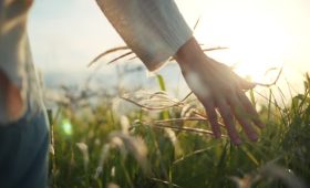 Simple Morning Practices for Mental Clarity