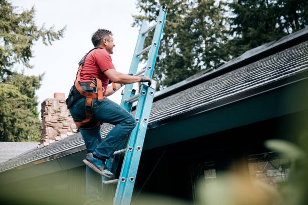 See How Our Skilled Team Can Transform Your Roof Today