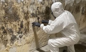 Post Remediation Tips: Keeping Your Home Mold Free