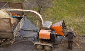 Codys Tree Service Delivering Top Tree Service South Lake Tahoe Results