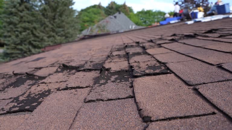 Professional Roofer Bellevue for Quality Installations