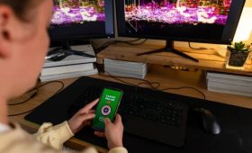 Nouveau casino en ligne moderne apprécié amateurs expériences immersives numériques