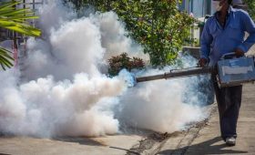 Complete Guide to Choosing Lawn Care Services Buford