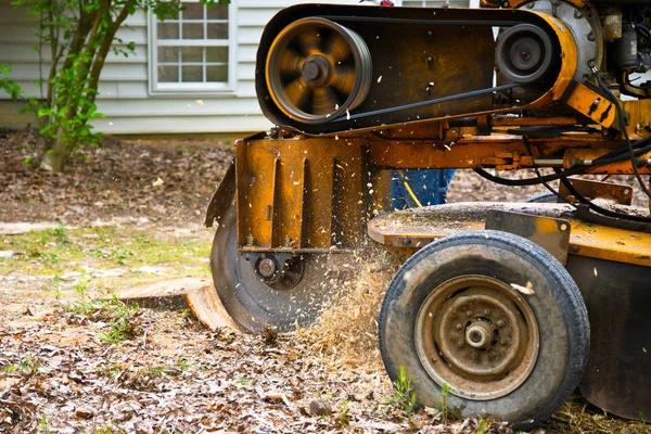 Emergency Tree Removal Service Mobile Available Anytime