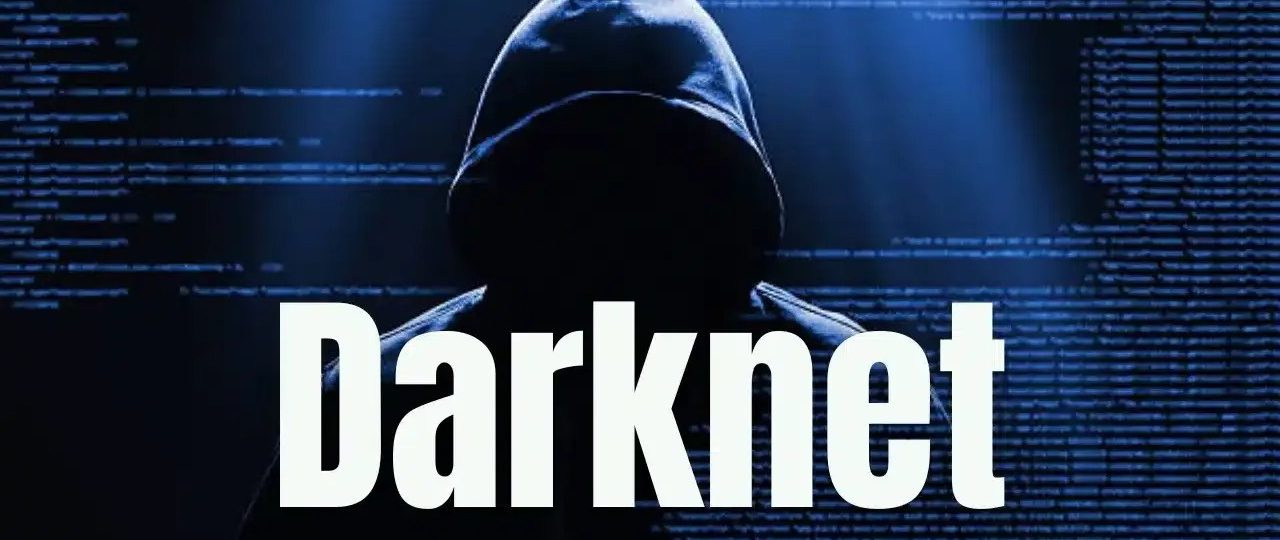 View Darknet Performance Reports for Research and Privacy