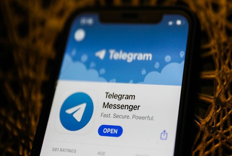 Telegram Subscribers That Support Organic Growth