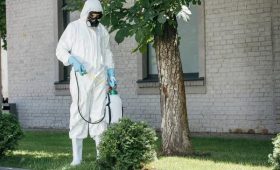 Easy Lawn Care Services for a Cleaner, Greener Property