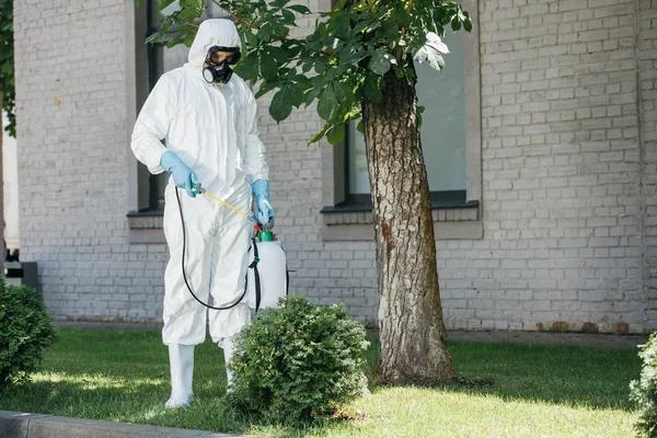Easy Lawn Care Services for a Cleaner, Greener Property
