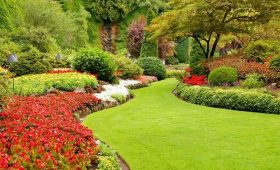 Professional Landscaping Services for Beautiful Outdoor Spaces
