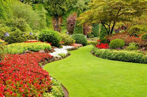 Professional Landscaping Services for Beautiful Outdoor Spaces