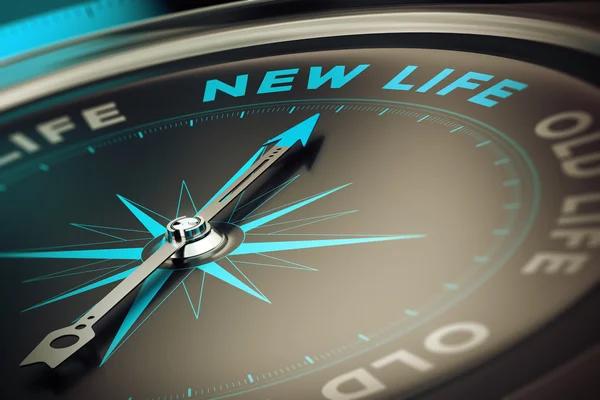 Discover Personal Growth With Life Coaching in Addison