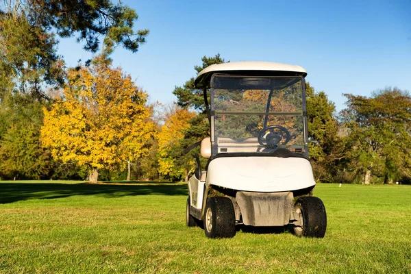 Why Your Choice of Golf Cart Dealer Matters