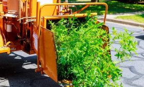 Affordable Tree Removal Service Without Compromising Safety