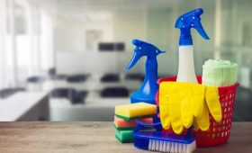 Understanding Mold Remediation and Preventing Hidden Moisture